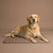 Elavo Cooling Pad