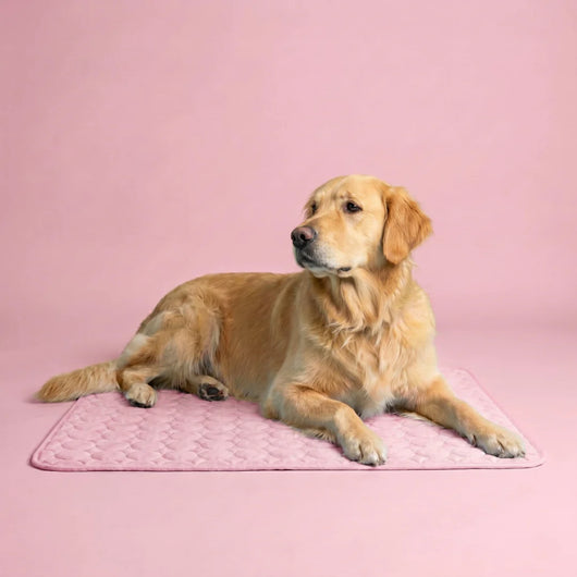 Elavo Cooling Pad
